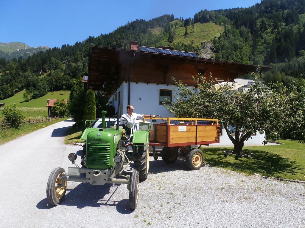 Landhaus Johanna Dorfgastein Esterno foto